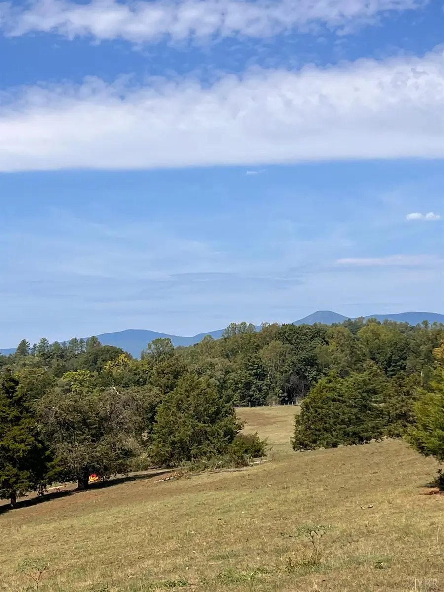0 Horseshoe Creek Ln, Amherst, VA 24521 - #3