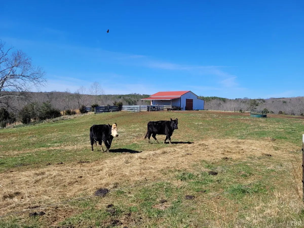 1975 Bellview, Appomattox, VA 24522 - #1