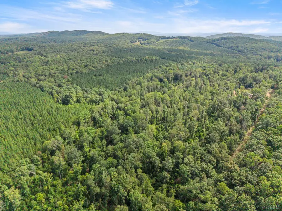 0 Hayshed Lot 1, Amherst, VA 24521 - #2