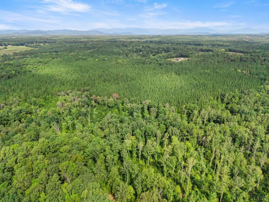 0 Hayshed Lot 5 Road, Amherst, VA 24521 - #2
