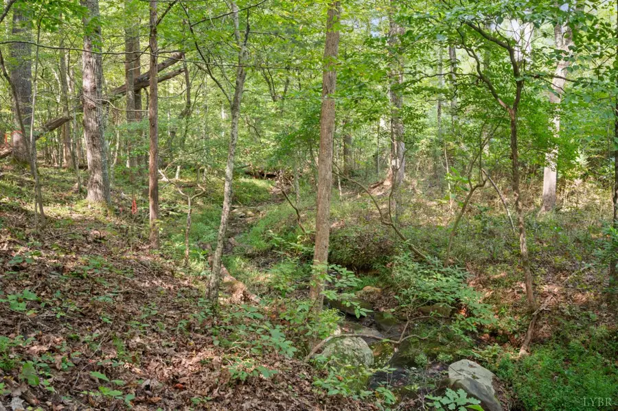 0 Hayshed Lot 5 Road, Amherst, VA 24521 - #3
