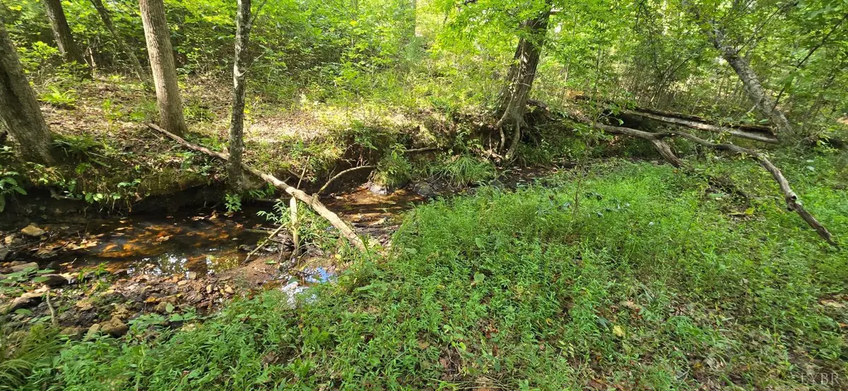 0 Hayshed Lot 4 Road, Amherst, VA 24521 - #1