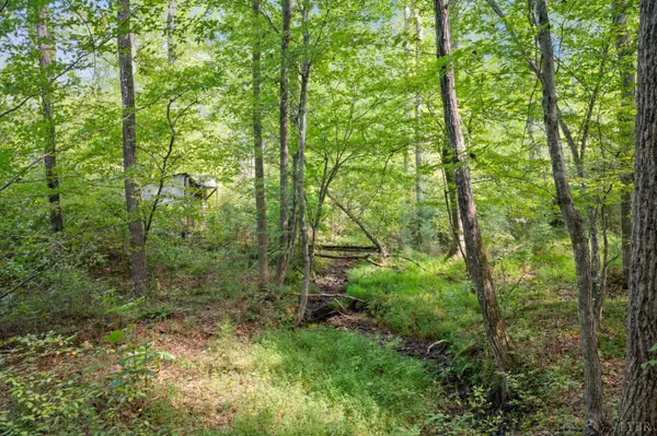 0 Hayshed Lot 5 Road, Amherst, VA 24521