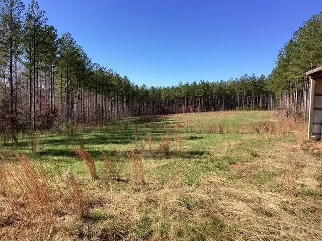 0 Lewis Ford Road, Brookneal, VA 24528 - #2