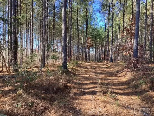 0 Lewis Ford Road, Brookneal, VA 24528 - #3