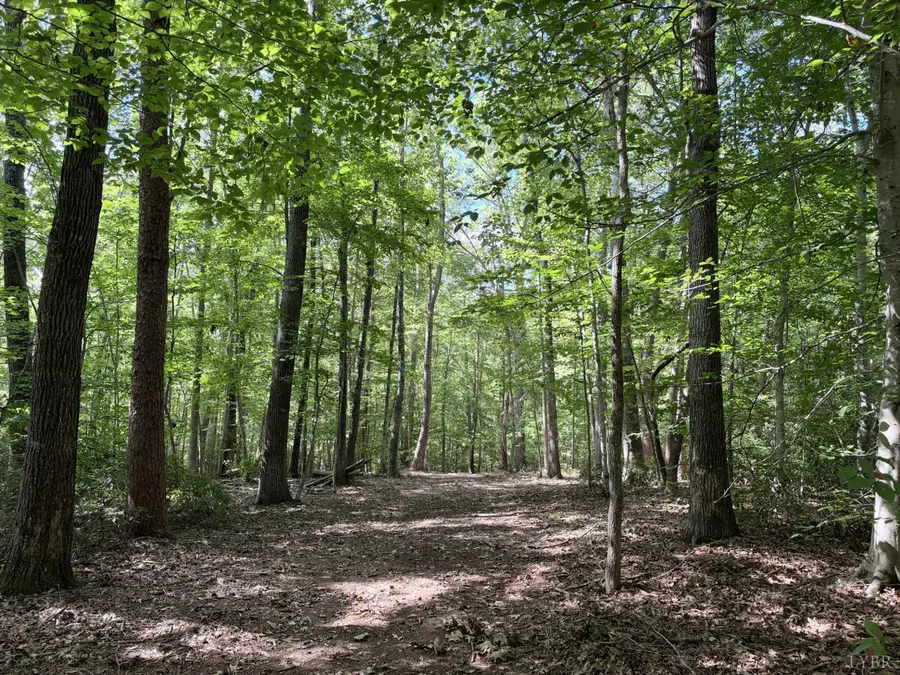 33 Piney Mountain Lane, Shipman, VA 22971 - #2