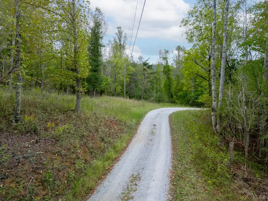 0 Crest Of Pedlar Drive, Monroe, VA 24574 - #2
