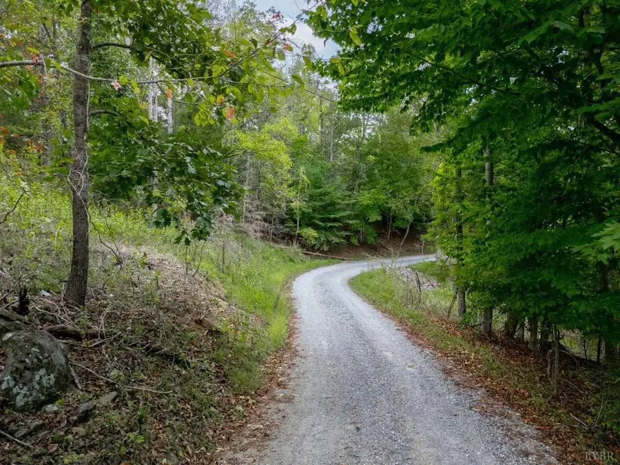 0 Crest Of Pedlar Drive, Monroe, VA 24574 - #3