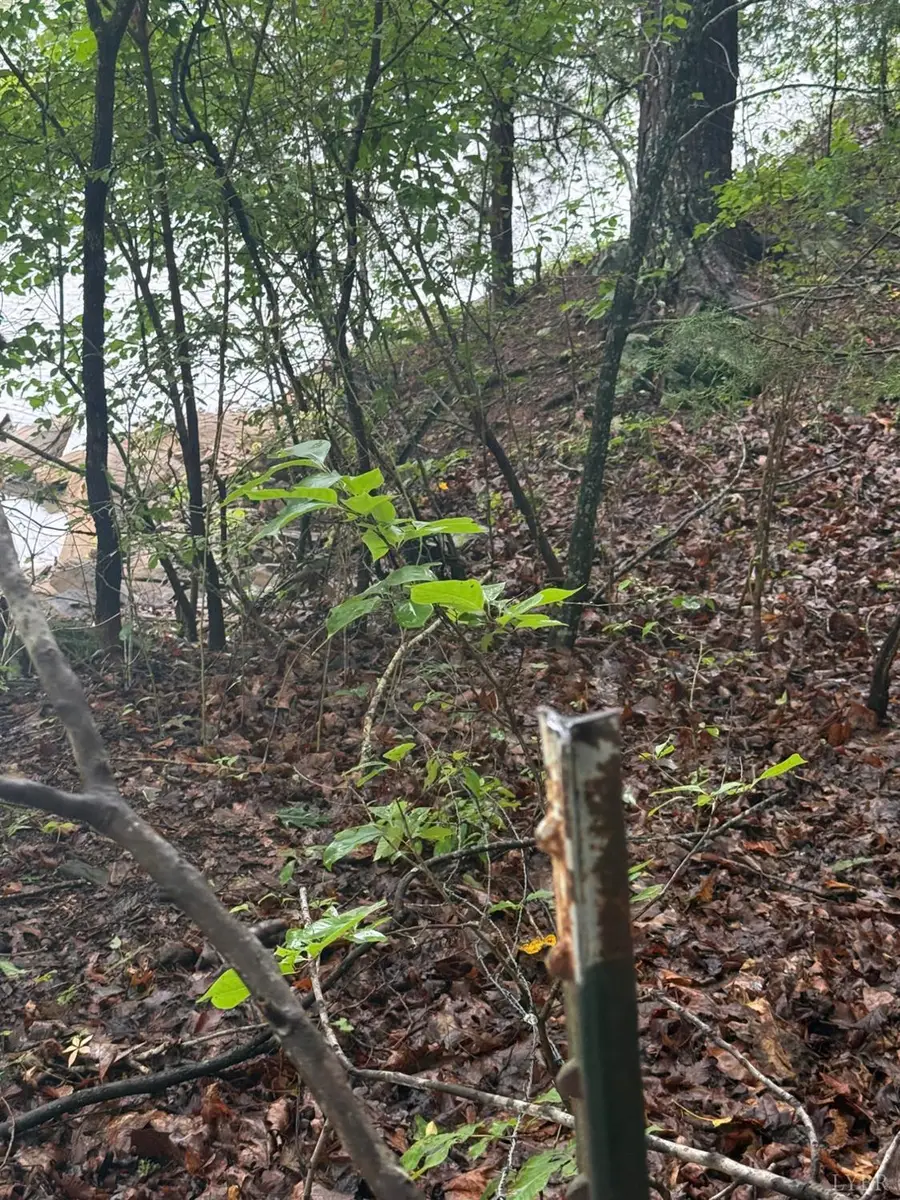 0 Near Smithview Drive, Glade Hill, VA 24092 - #3