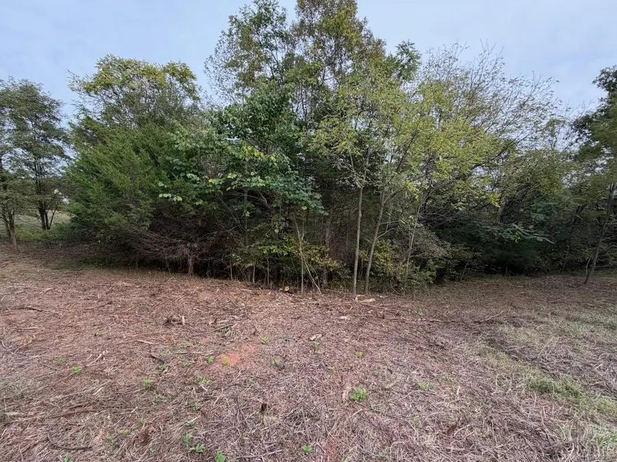 0 Moneta Road, Moneta, VA 24121 - #3
