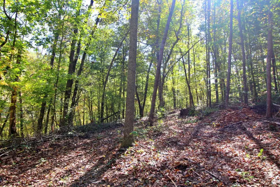 5 Mill Pond Road, Appomattox, VA 24522 - #2