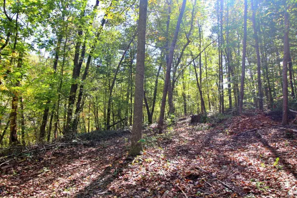 6 Mill Pond Road, Appomattox, VA 24522
