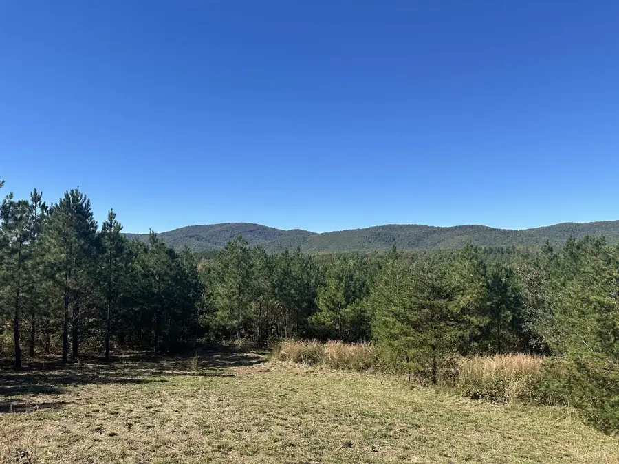 0 Secretarys Sand Rd, Schuyler, VA 22969 - #2