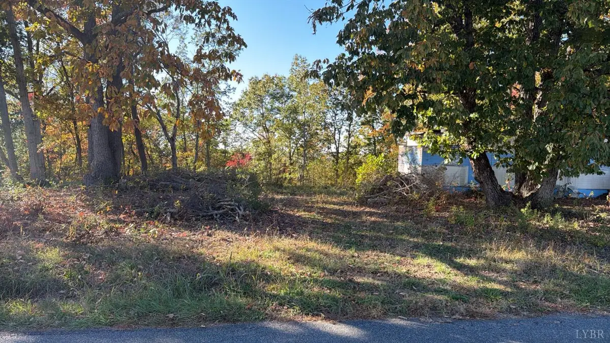 977 Stone Mill Rd, Hurt, VA 24563 - #1