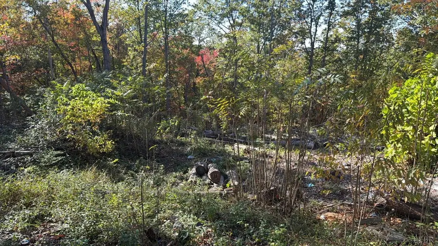 977 Stone Mill Rd, Hurt, VA 24563 - #3