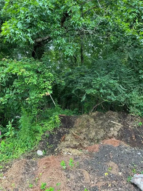 4225 Clifton Street, Suffolk, VA 23435 - Image #1