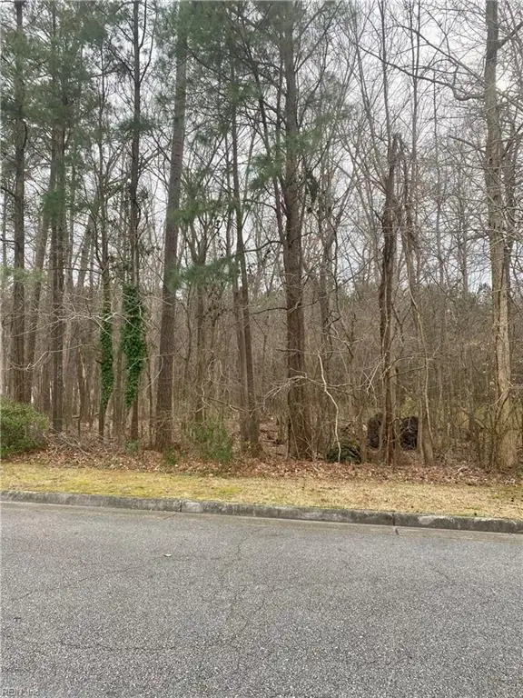 55+ac Taylor Farm, Virginia Beach, VA 23456 - Image #1