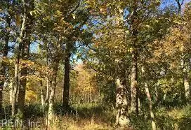 15+ Clearfield Avenue, Chesapeake, VA 23320 - Image #1