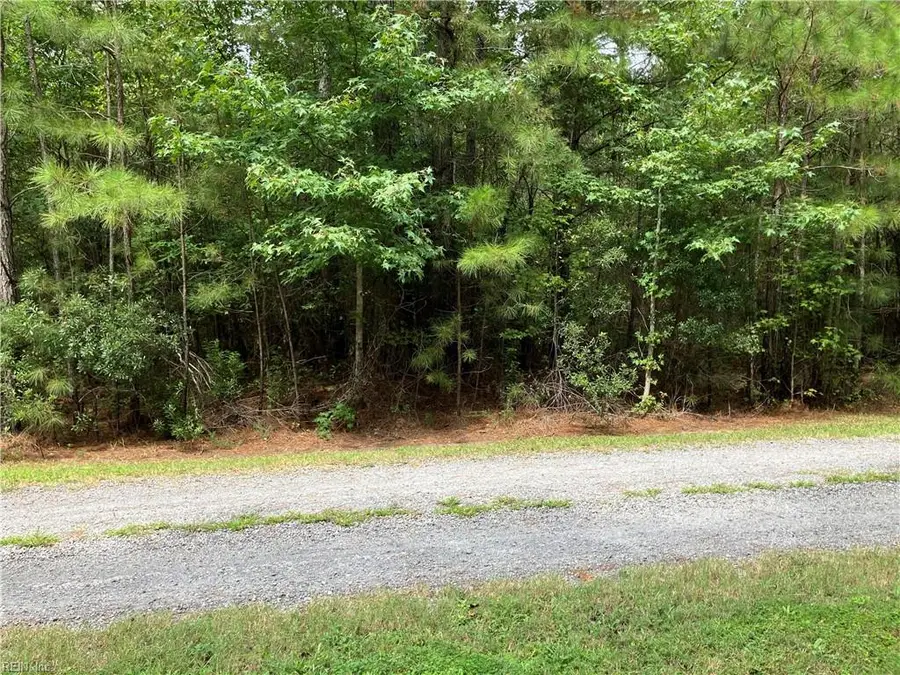 Lot 3 Kings Land Court, Gates, NC 27937 - #2