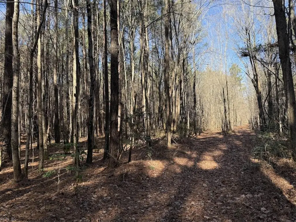 170 ac Glass Road, Hayes, VA 23072 - Image #1