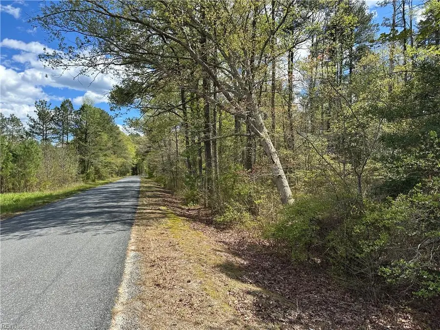 00 Briery Swamp Road, Jamaica, VA 23079 - #2