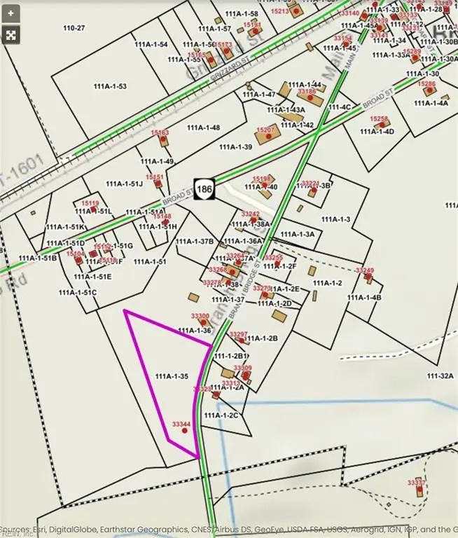 Lot 3 Branch Bridge Street, Branchville, VA 23828 - Image #3