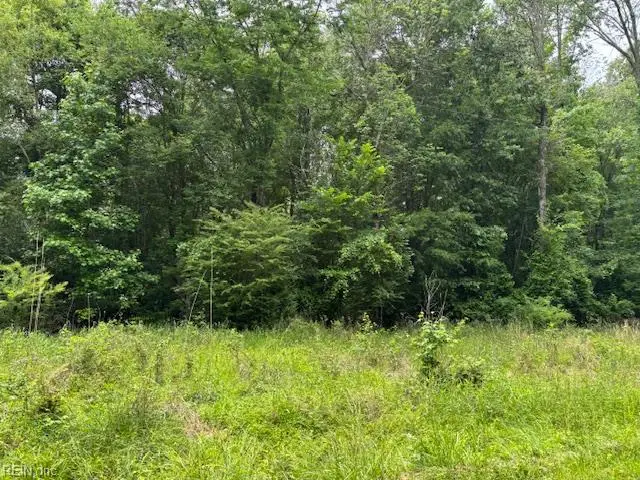 Lot 4 Branch Bridge Street, Branchville, VA 23828 - Image #1