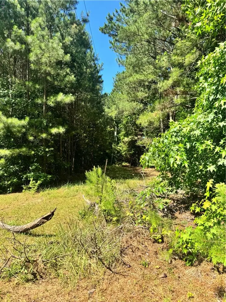 Parcel 109c-4-5,6,7,8 &9, Painter, VA 23420 - Image #2