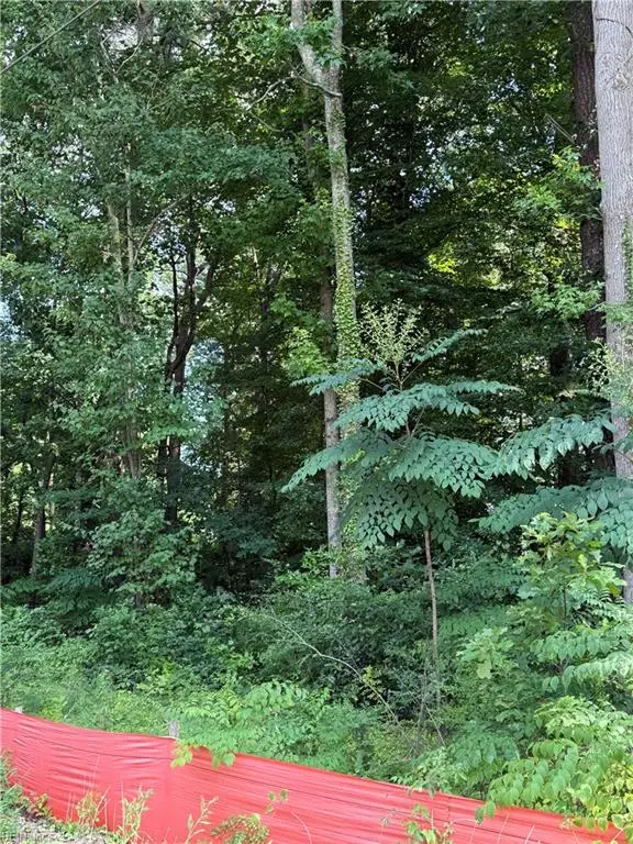 1117 Jackson Street, Virginia Beach, VA 23451 - Image #3