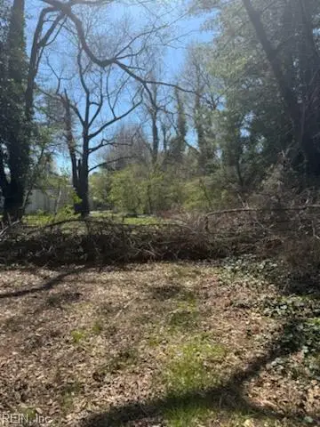 LOT 17 Wesley Road, Chesapeake, VA 23323 - Image #2