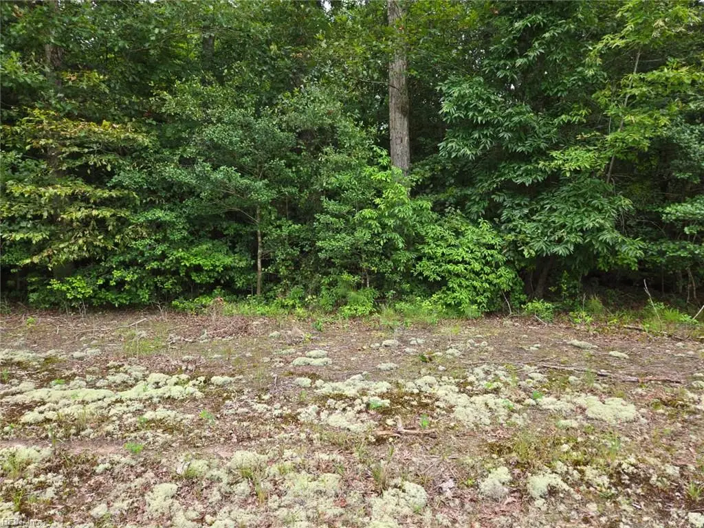 25.5AC Woodland Drive, Windsor, VA 23487 - Image #1