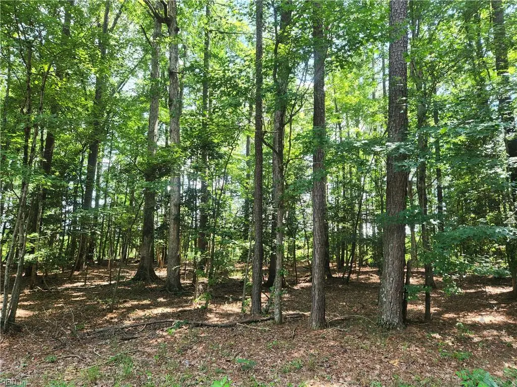 Lot 18 Pinecrest Drive, Boykins, VA 23827 - Image #1