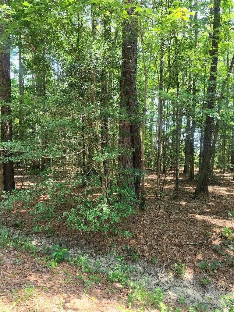 Lot 18 Pinecrest Drive, Boykins, VA 23827 - Image #2
