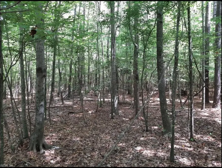 6468 Blackwater Road, Virginia Beach, VA 23457 - Image #2