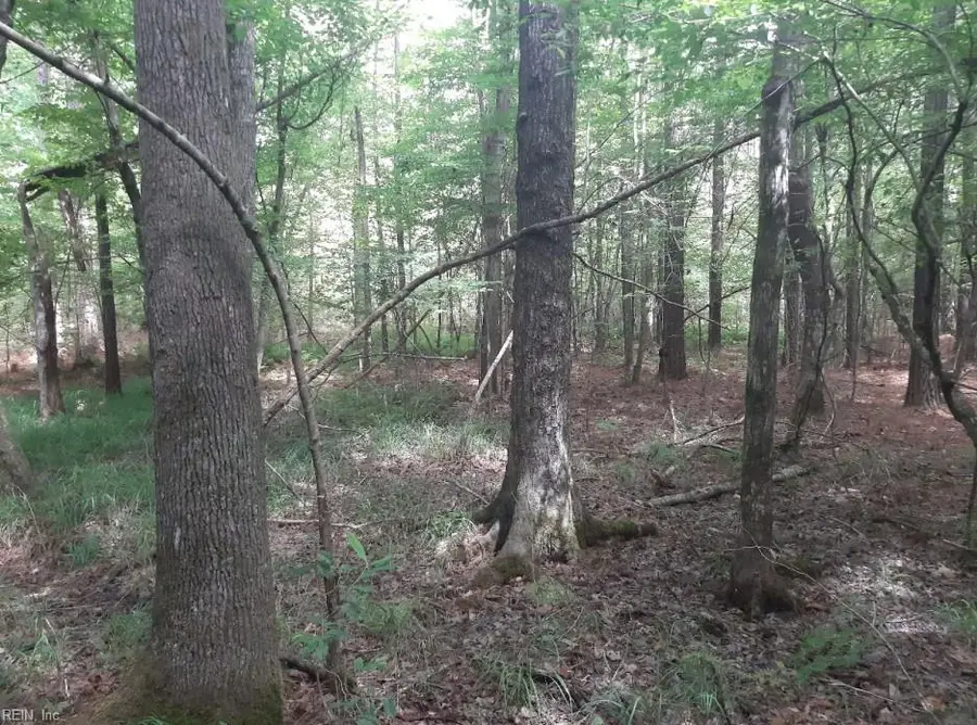 6576 Blackwater Road, Virginia Beach, VA 23457 - Image #3