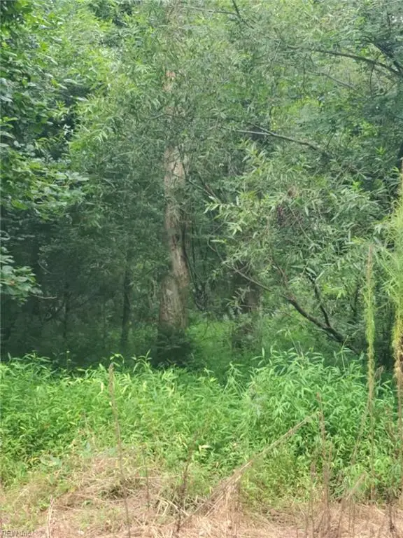 4364 Griffin Lane, Suffolk, VA 23435 - Image #2