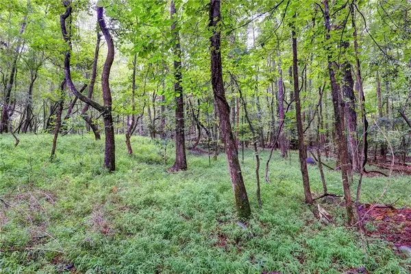 200 Jolly Pond Road, Williamsburg, VA 23188