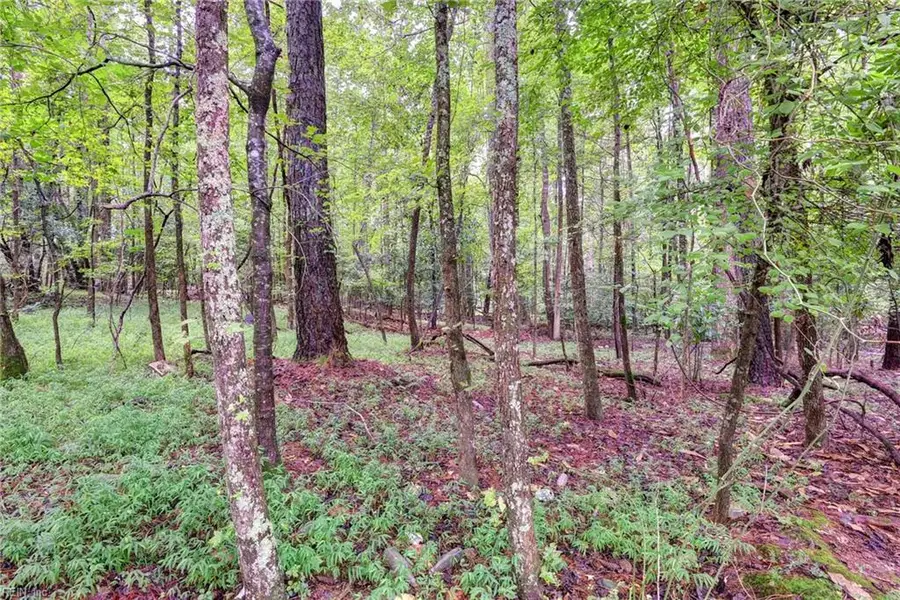 200 Jolly Pond Road, Williamsburg, VA 23188 - Image #2