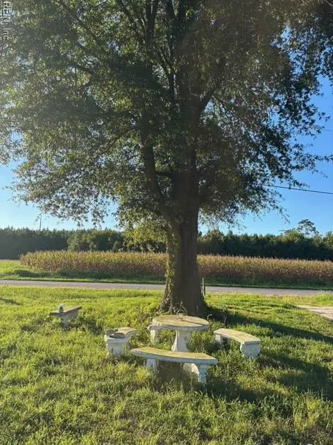 7496 Yellow Hammer Road, Zuni, VA 23898 - Image #3