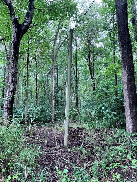 1832 Munden Point Road, Virginia Beach, VA 23457 - Image #3