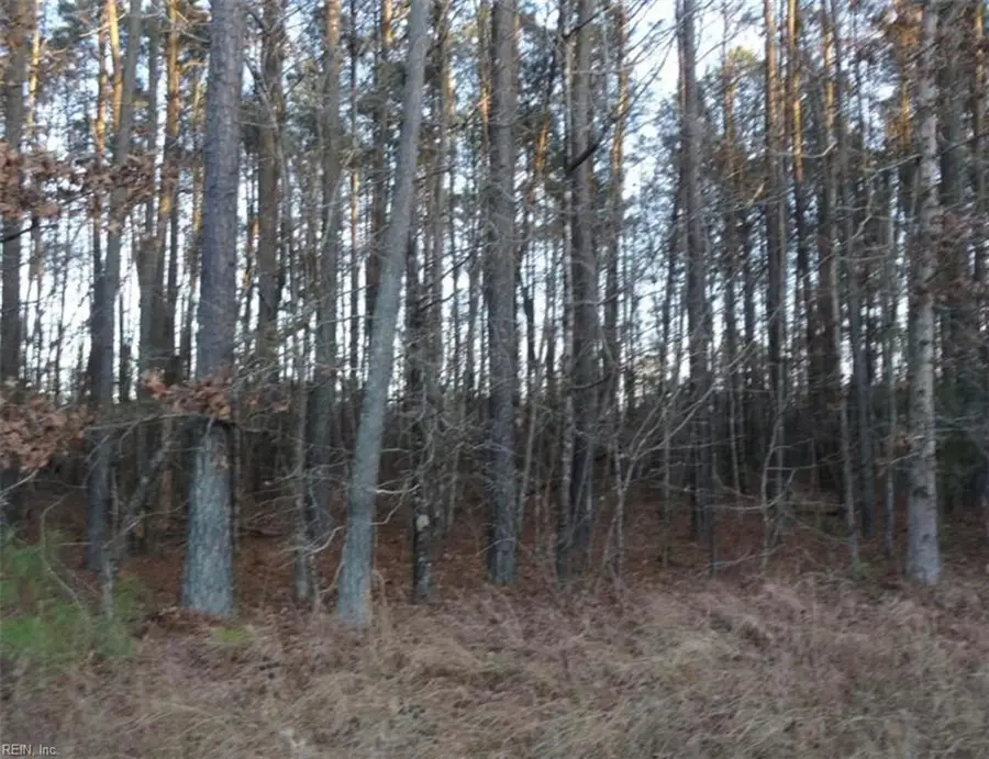 42 AC Strawberry Plaines, Ivor, VA 23866 - Image #2