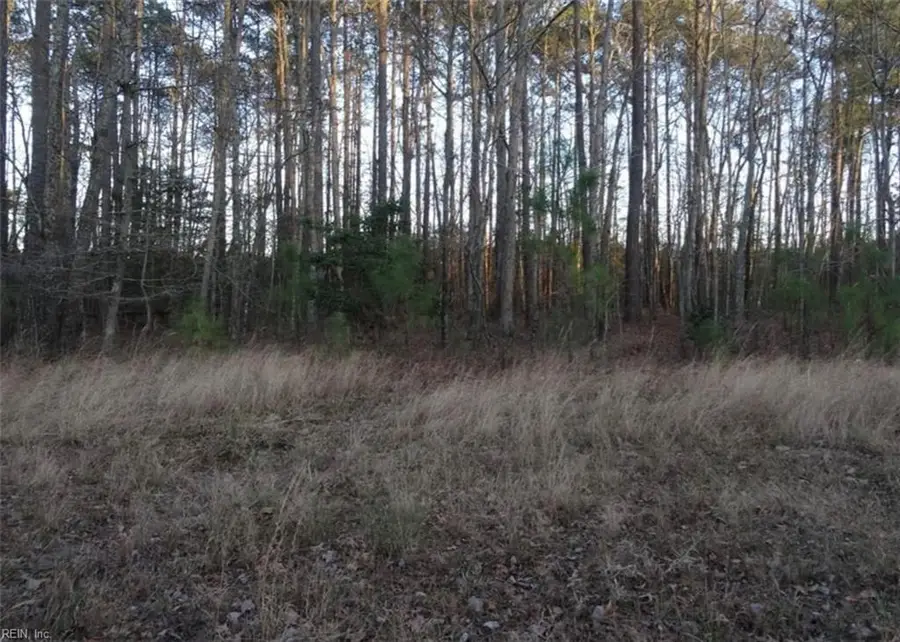 42 AC Strawberry Plaines, Ivor, VA 23866 - Image #3