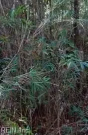 Lot 2 Maple St, Suffolk, VA 23432 - #1