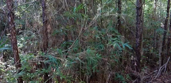 4235 Marlin Ave, Suffolk, VA 23432