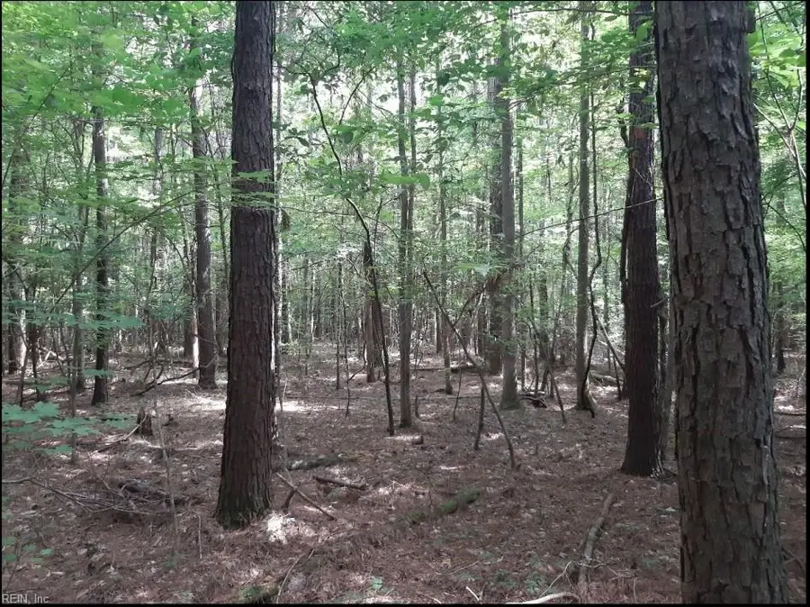 6664 Blackwater Road, Virginia Beach, VA 23457 - Image #3