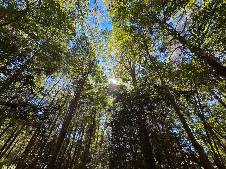 45.5 Acres Cypress Chapel Road, Suffolk, VA 23434 - Image #3