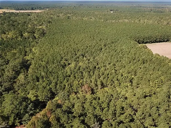15 Acres Cypress Chapel Road, Suffolk, VA 23434