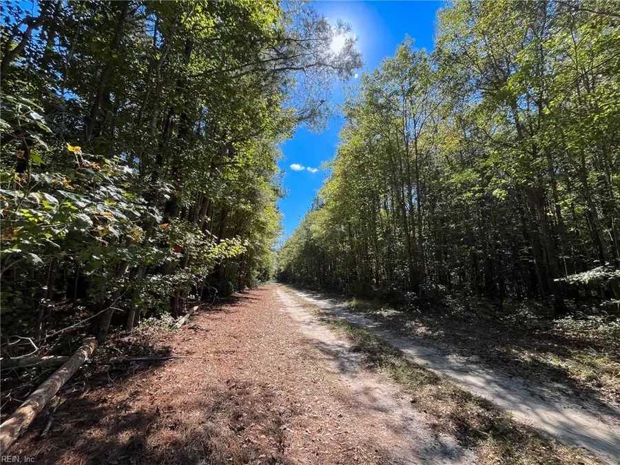 15 Acres Cypress Chapel Road, Suffolk, VA 23434 - Image #2