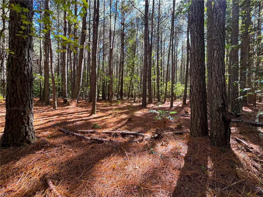 15 Acres Cypress Chapel Road, Suffolk, VA 23434 - Image #3