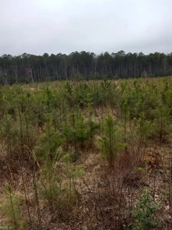 Lot 9 Saw Mill Lane, Gloucester, VA 23061 - Image #1